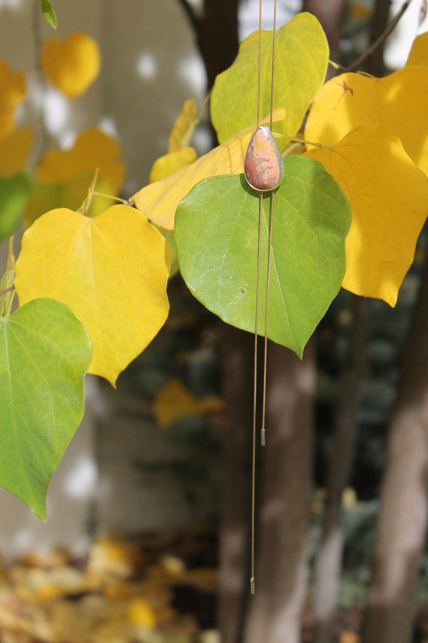 Ocean Jasper Fancy Bolo