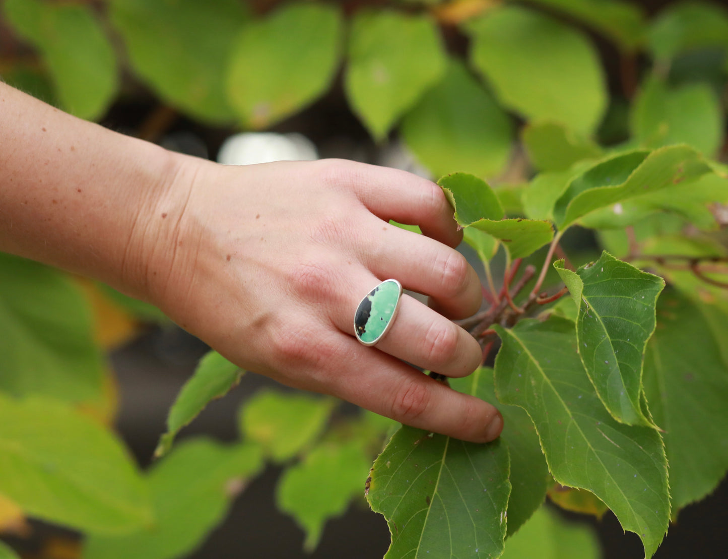 Two Tone Turquoise