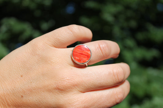 Red Sea Ring