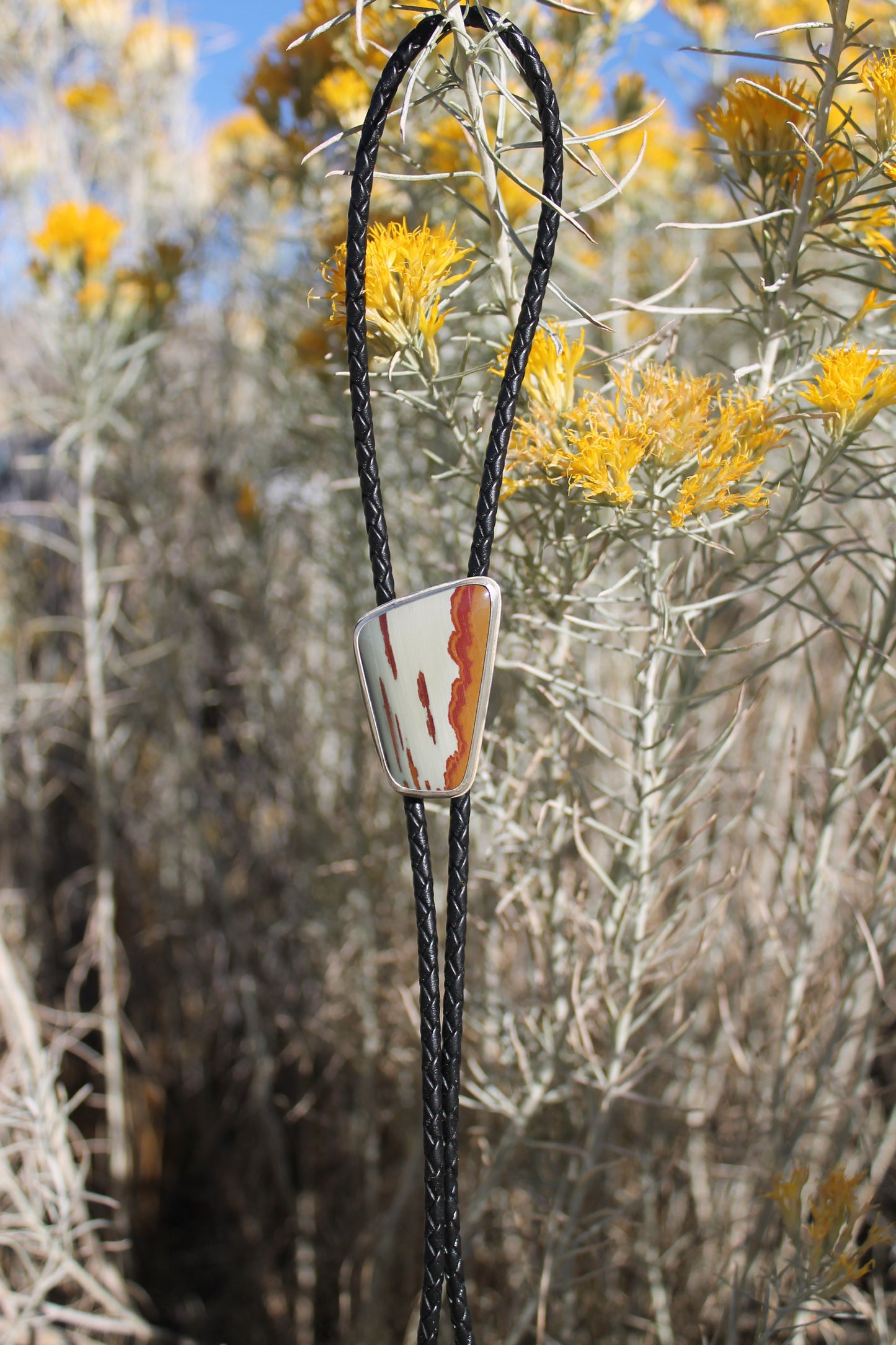 Owyhee Picture Jasper Bolo
